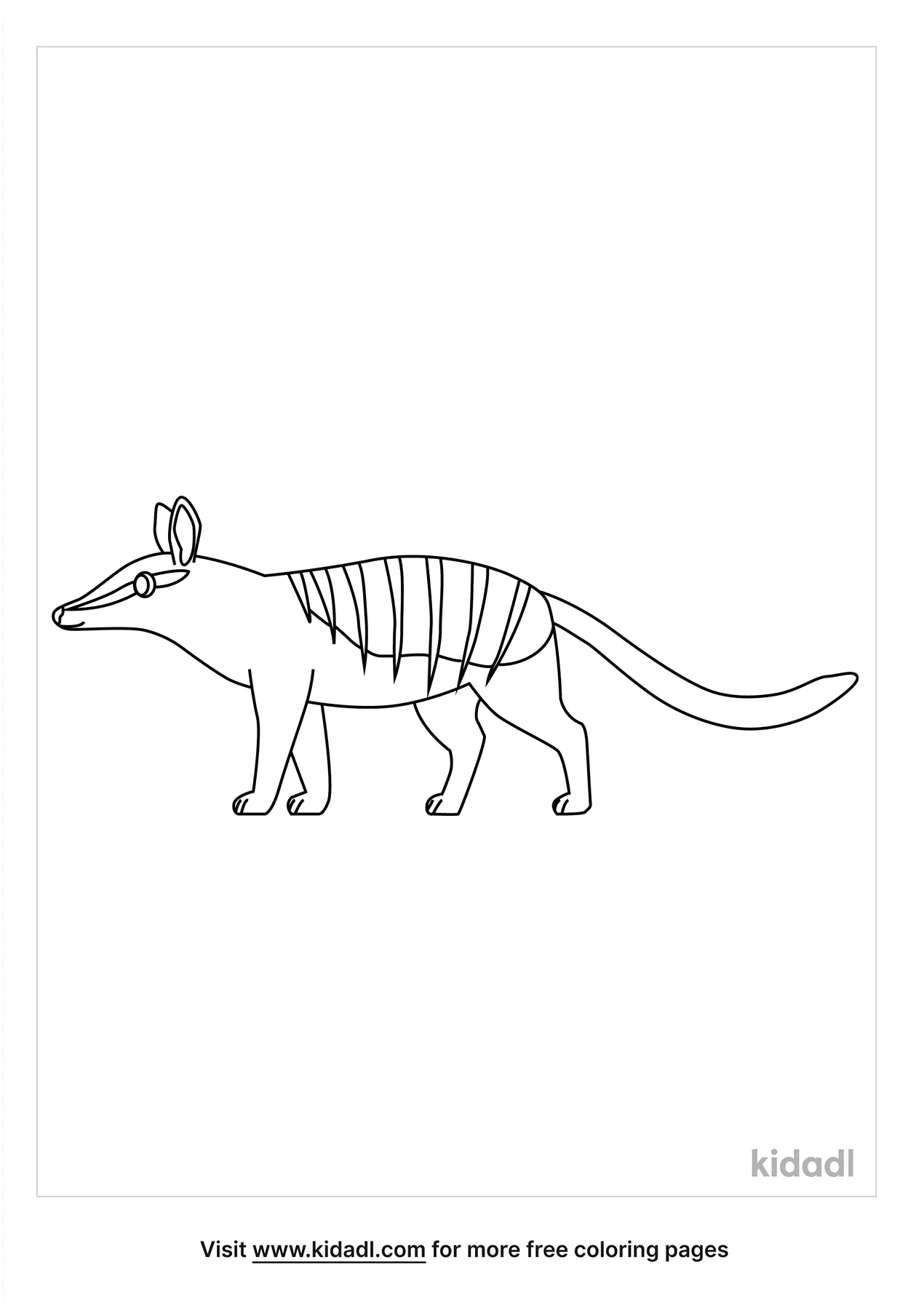 numbat coloring pages