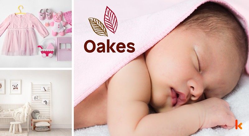 Meaning of the name Oakes