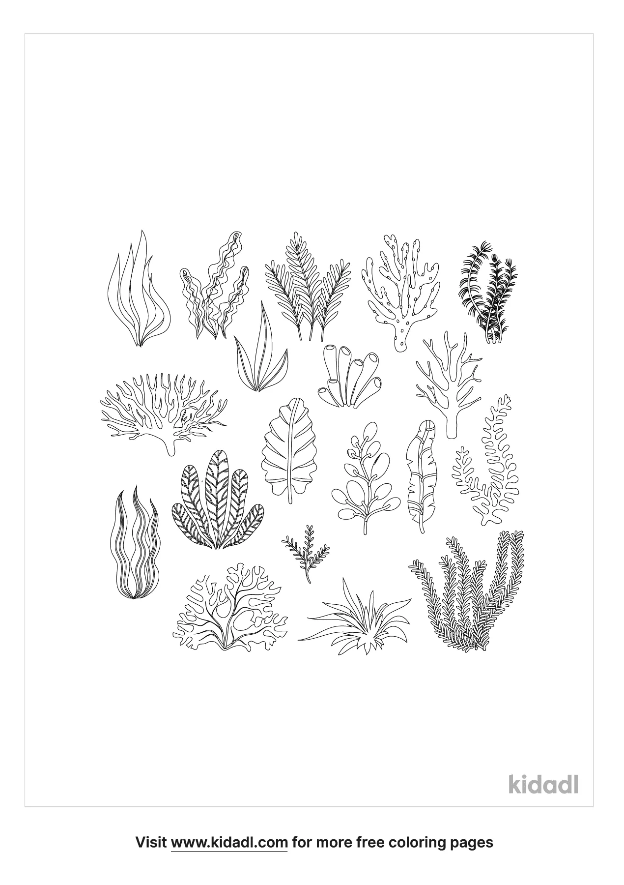 Ocean Plants Coloring Page