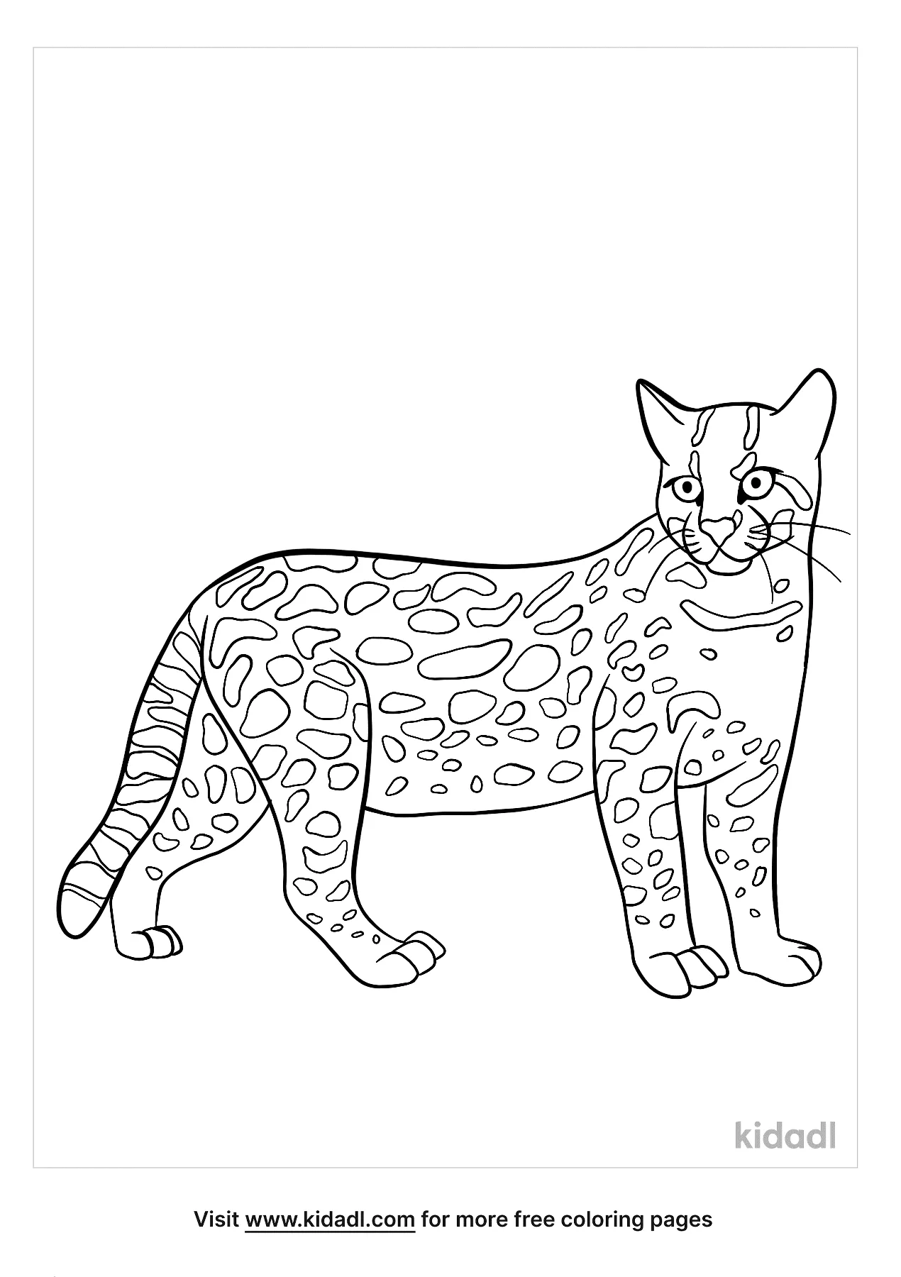 Ocelot Coloring Page - Ultimate Wallpaper