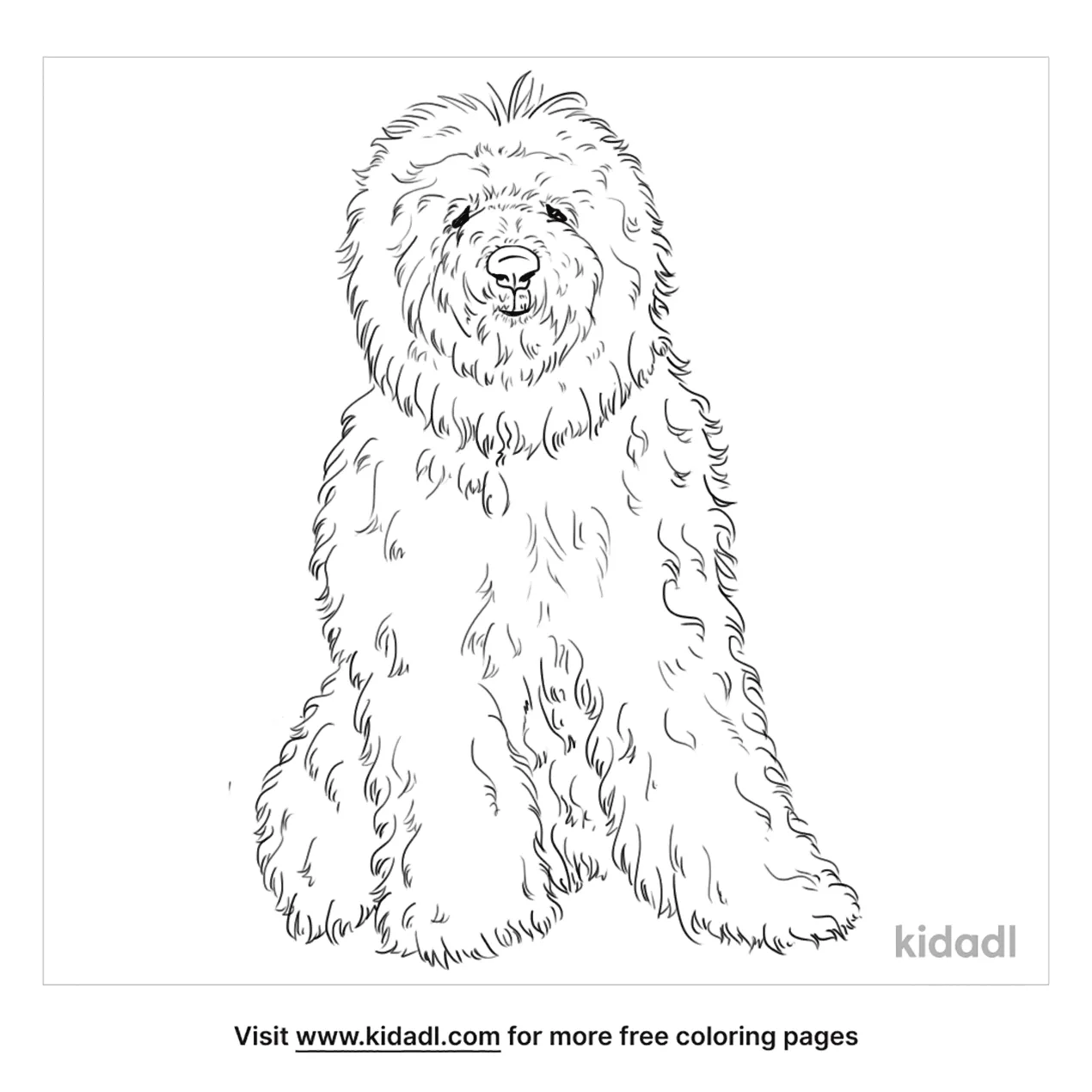 old english sheepdog coloring pages