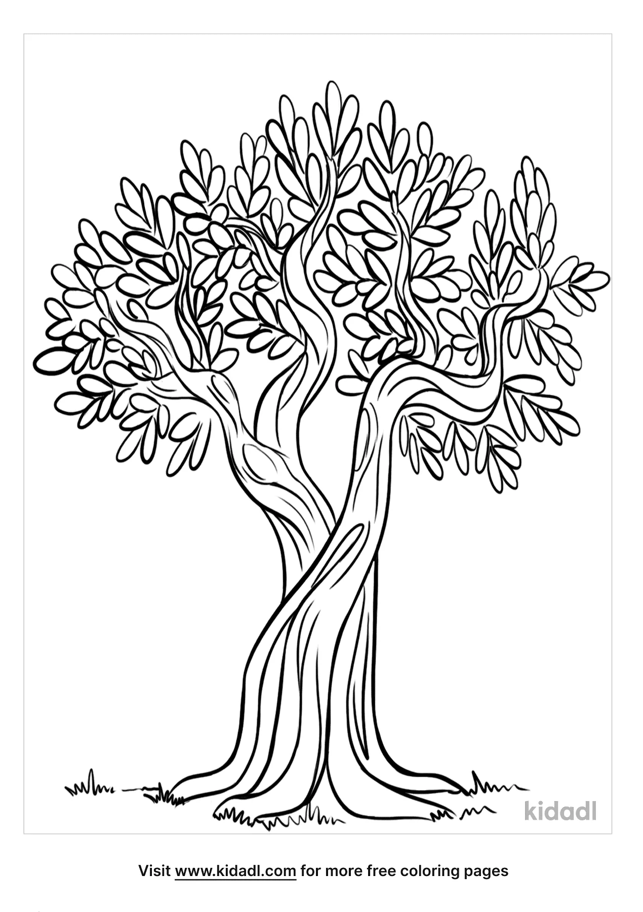 Olive Tree Coloring Pages Free Nature Coloring Pages Kidadl