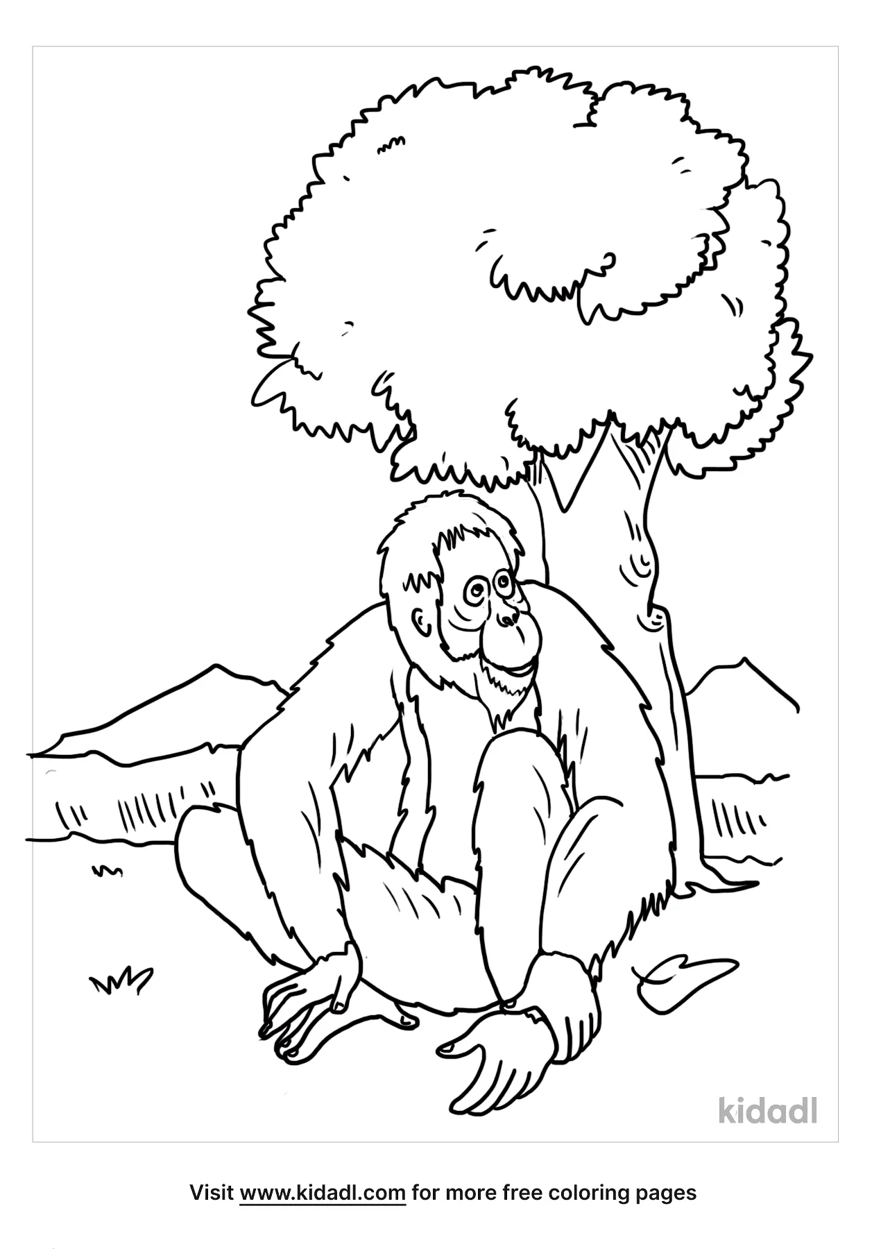 baby orangutan coloring page