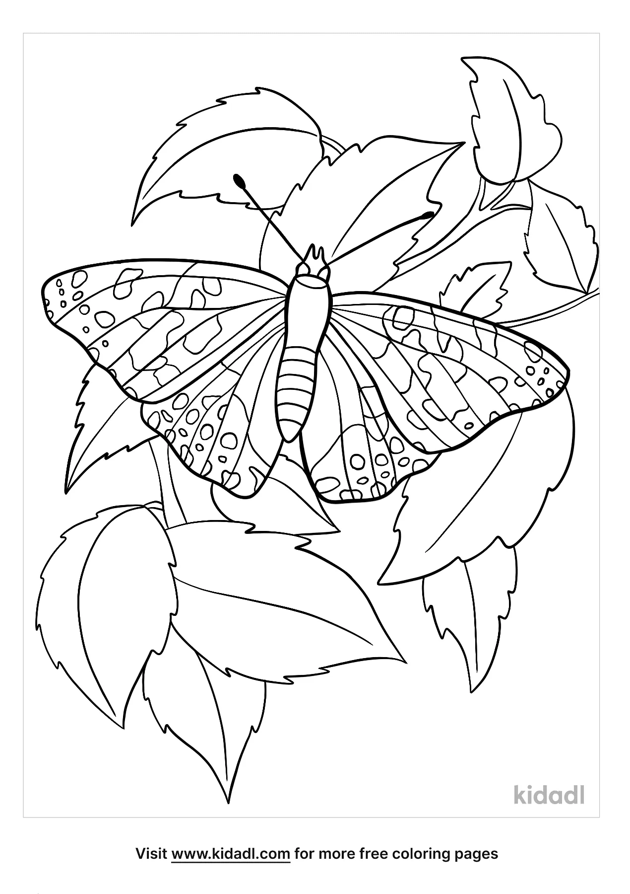Painted Lady Butterfly Coloring Pages   Free Butterflies Coloring ...