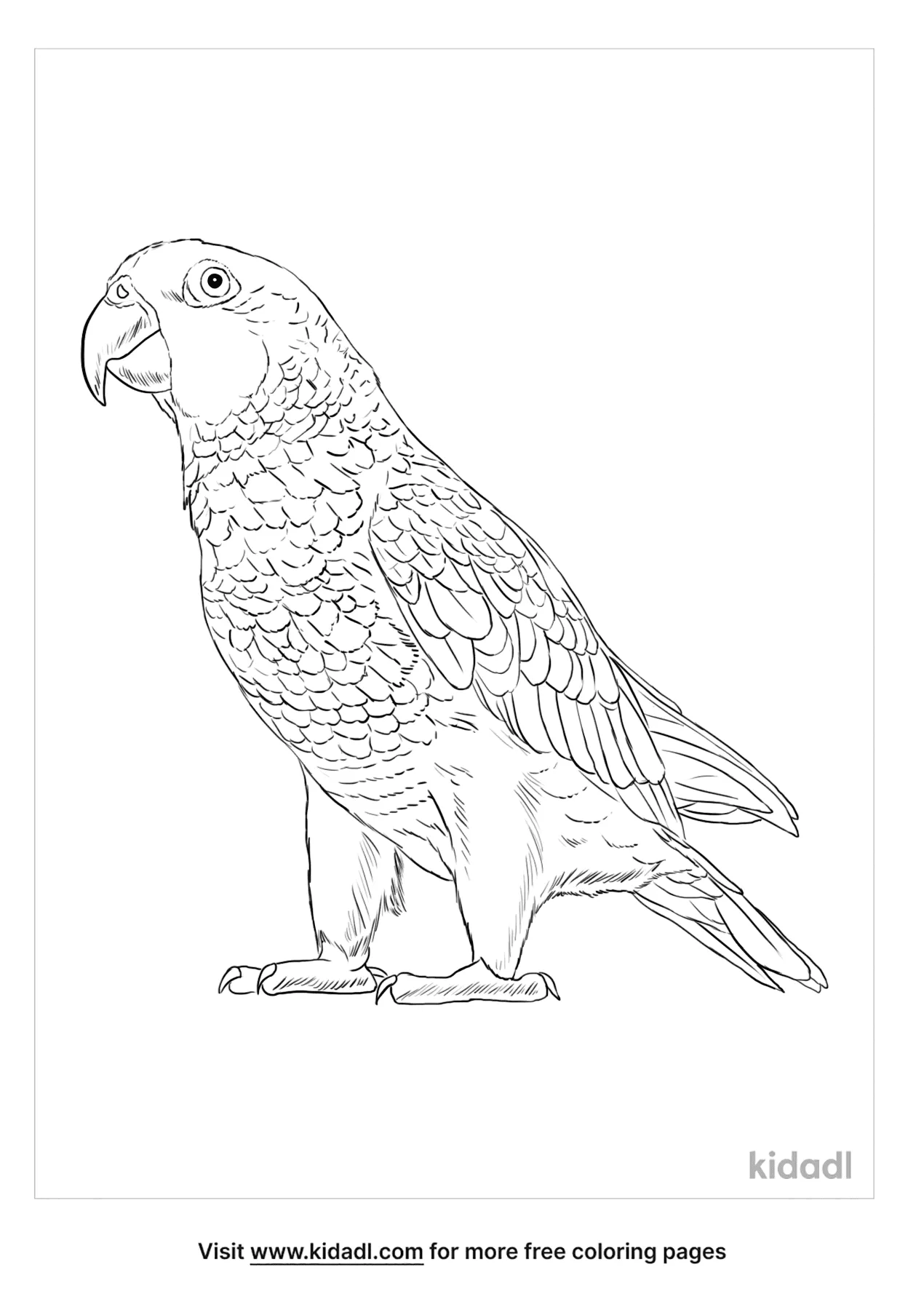 free coloring pages panama