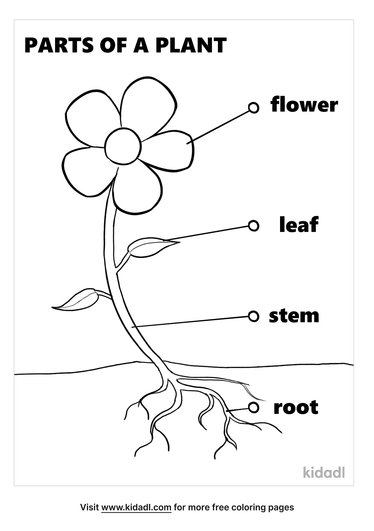 Free Parts Of A Plant Coloring Page Coloring Page Printables Kidadl