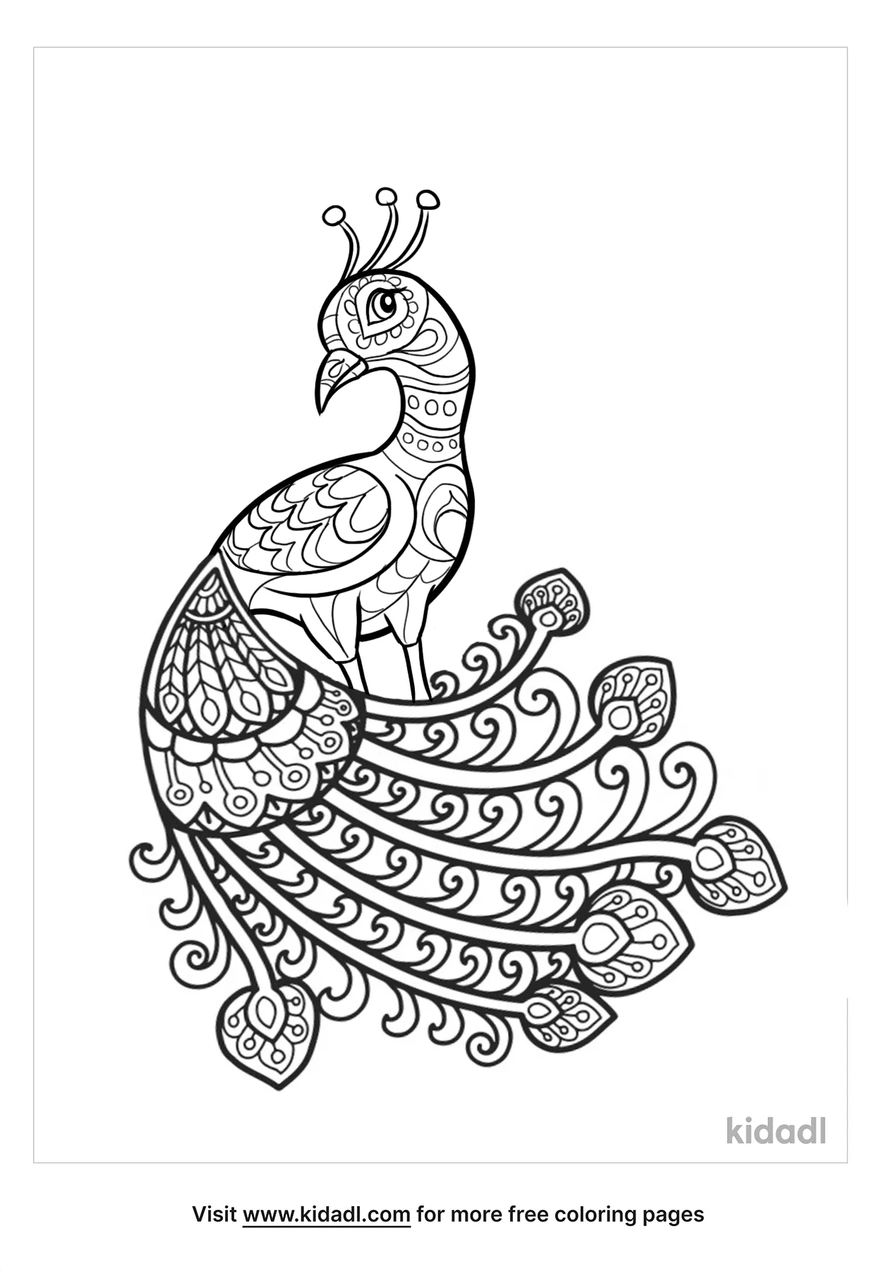 Peacock Mandala Coloring Pages   Free Birds Coloring Pages   Kidadl