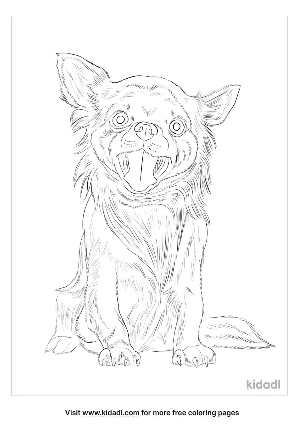 Pekingese Chihuahua Mix Coloring Page