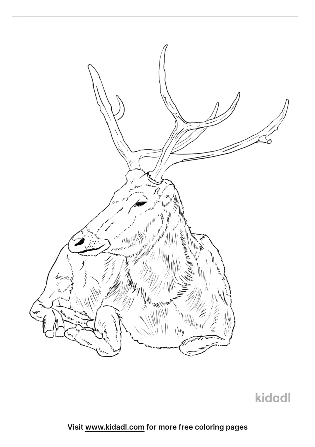 Pere David's Deer Coloring Page