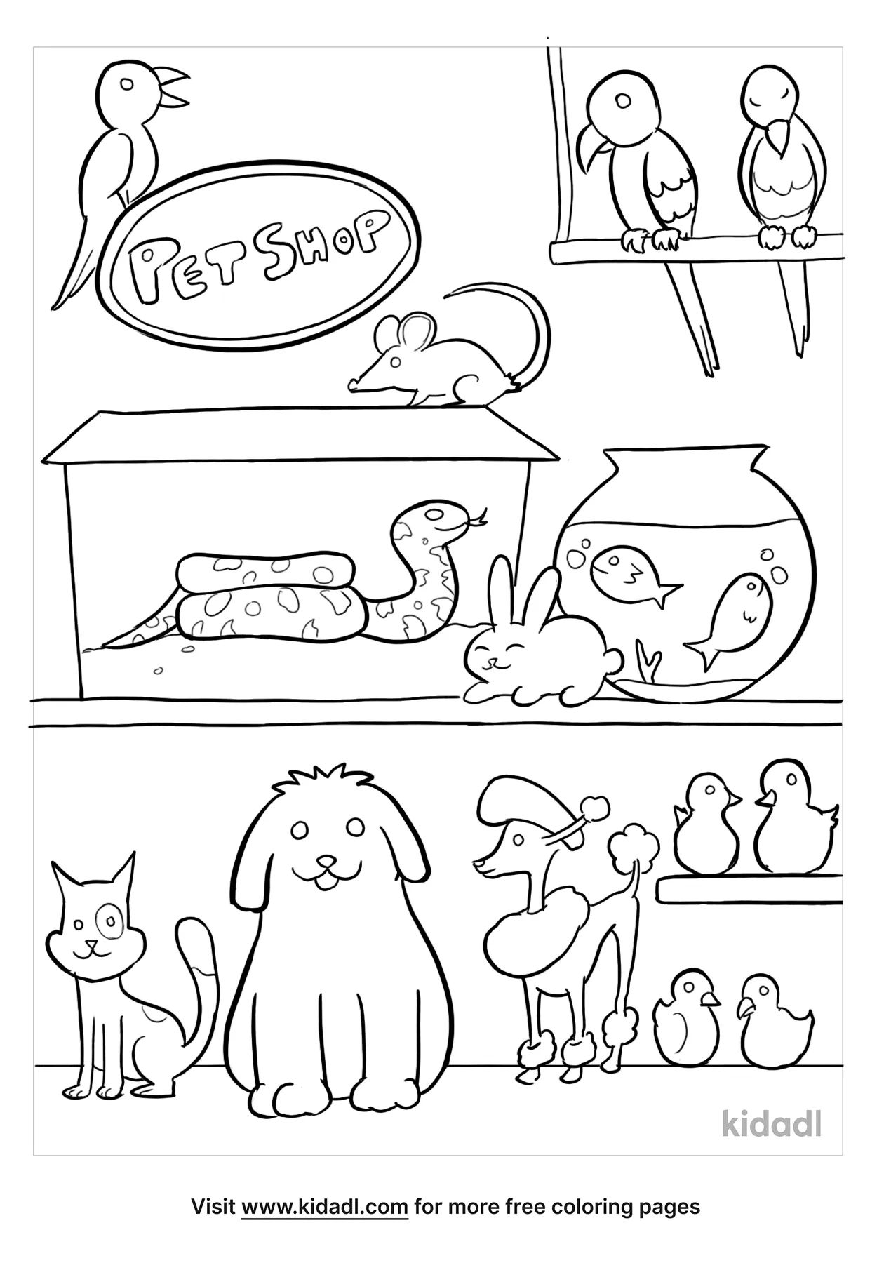 Pet Shop Coloring Pages   Free Animals Coloring Pages   Kidadl