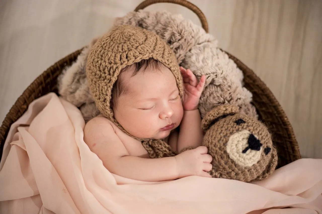 A newborn baby sleeping in a  basket with a teddy bear