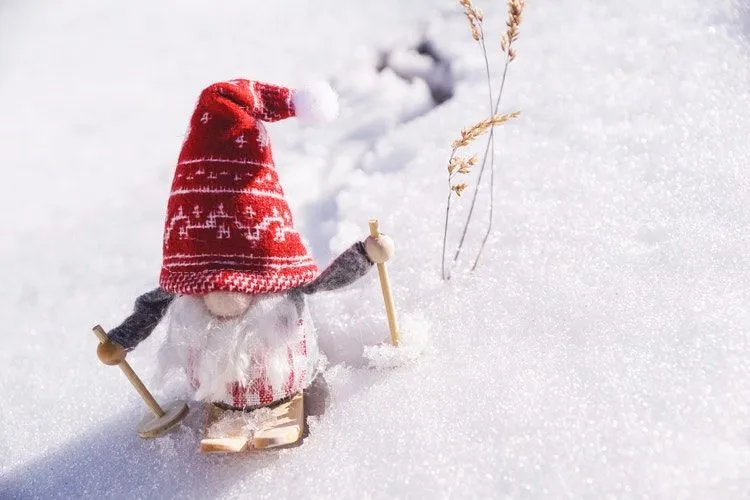 A tiny stuffed gnome in white snow