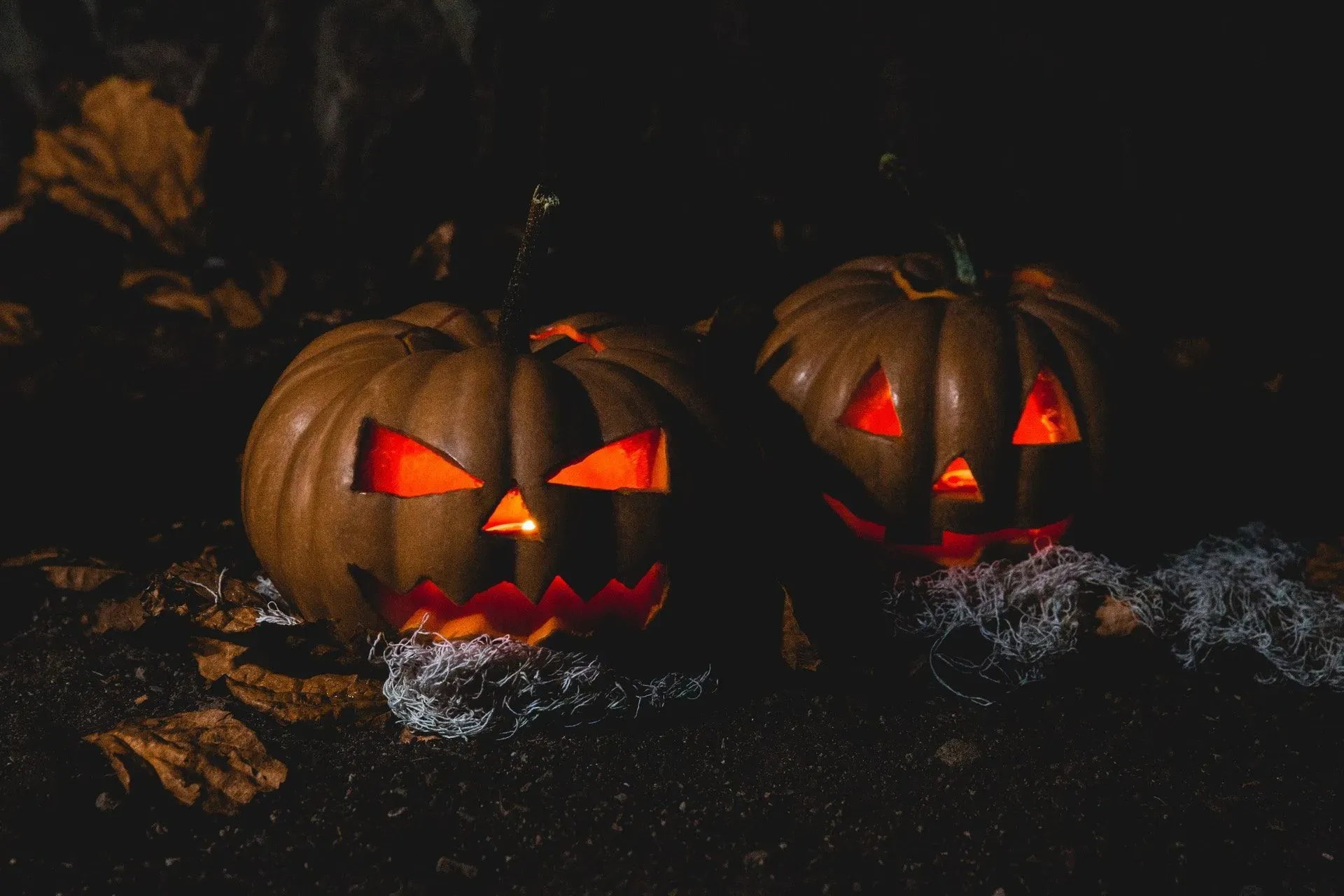 According to research, around 41% of the Americans start decorating their house from the first week of October for Halloween.