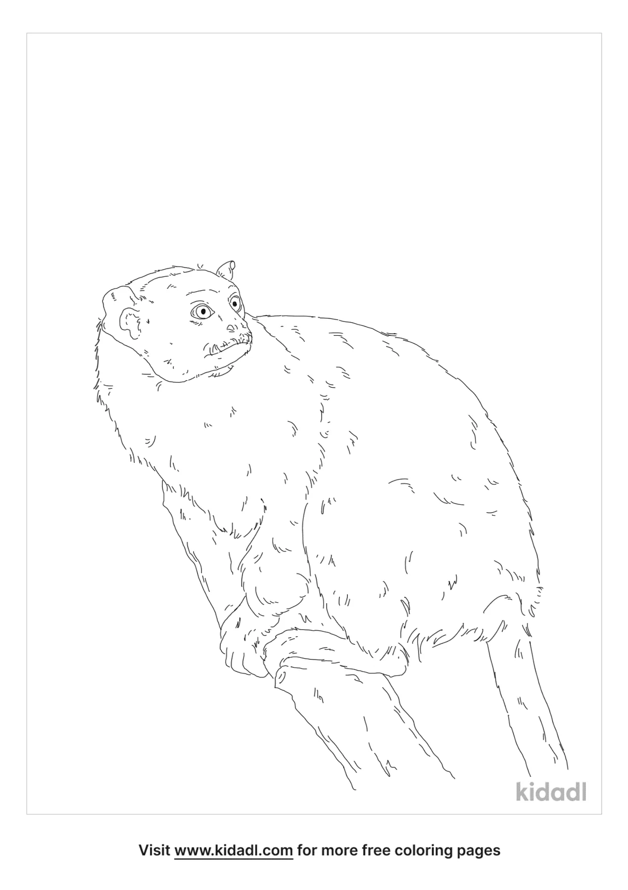 Pied Tamarin Coloring Page