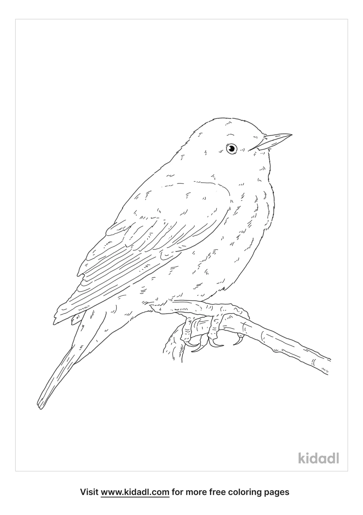 Pine Warbler Coloring Page | Free Birds Coloring Page | Kidadl