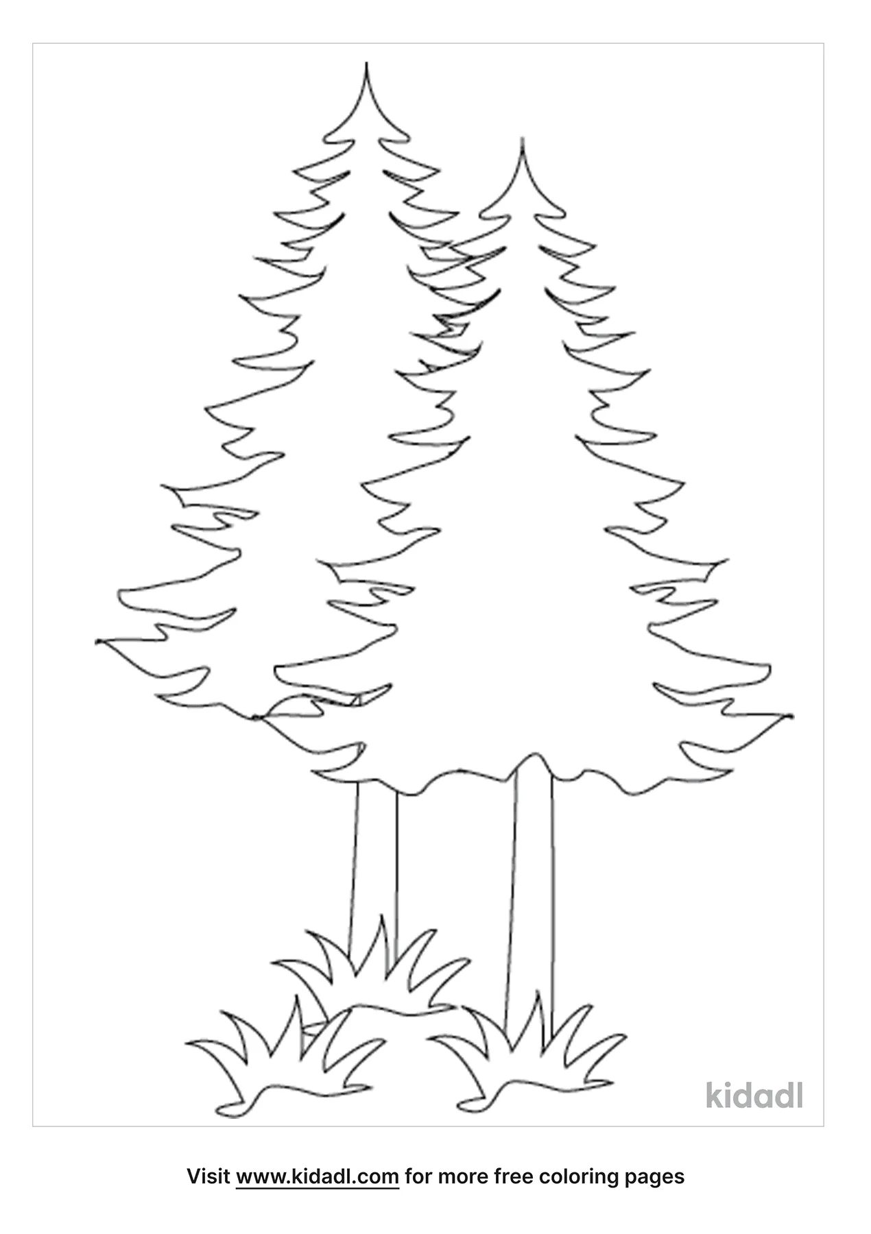 pine tree coloring pages