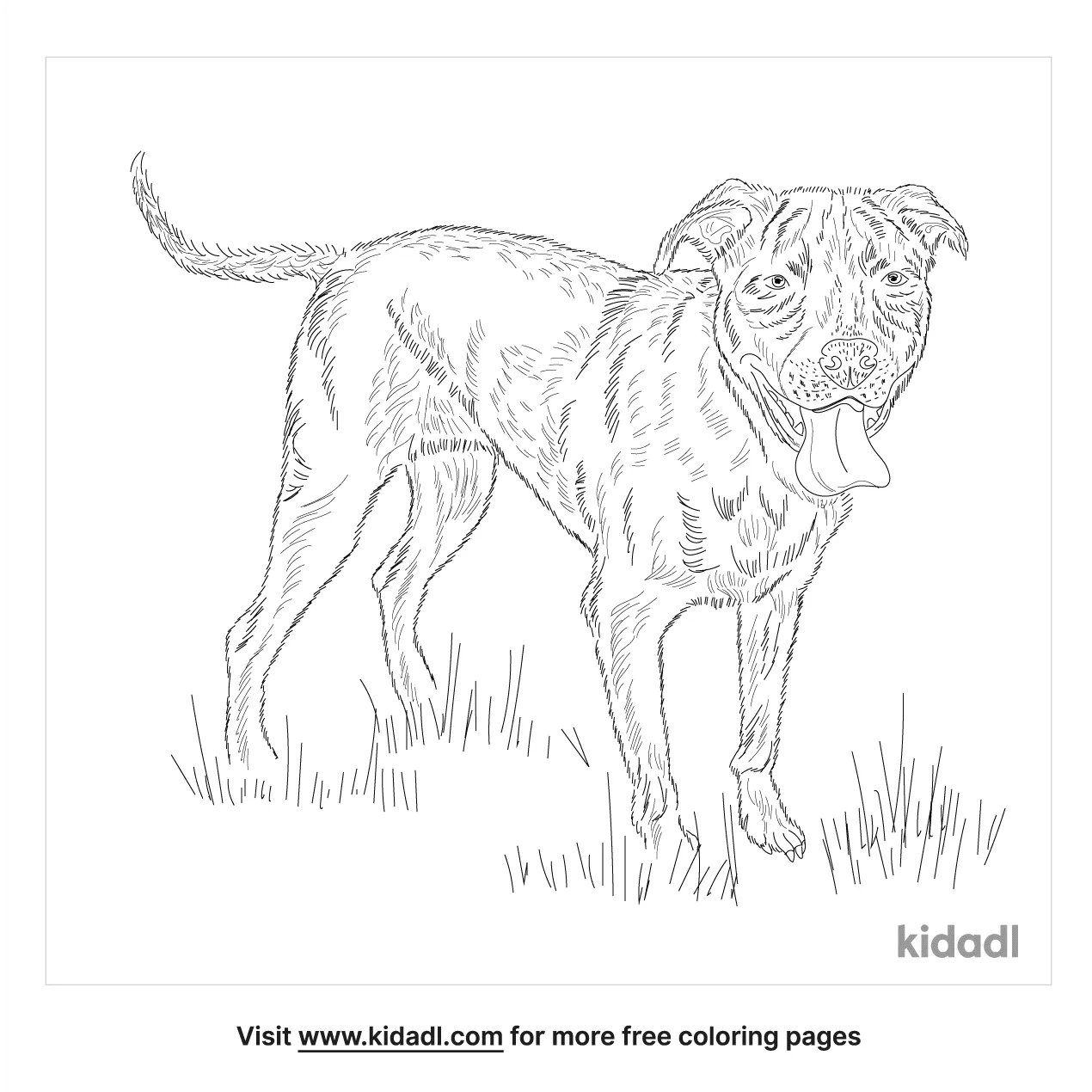 free black lab coloring pages