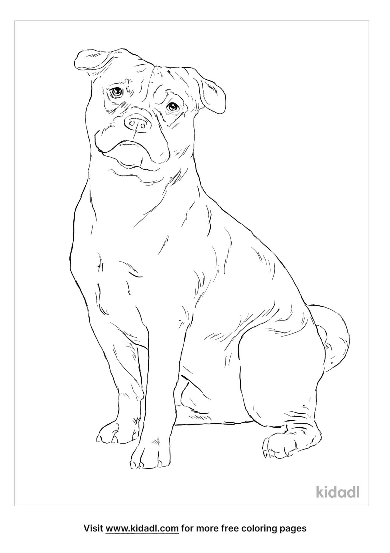 christmas pug coloring pages