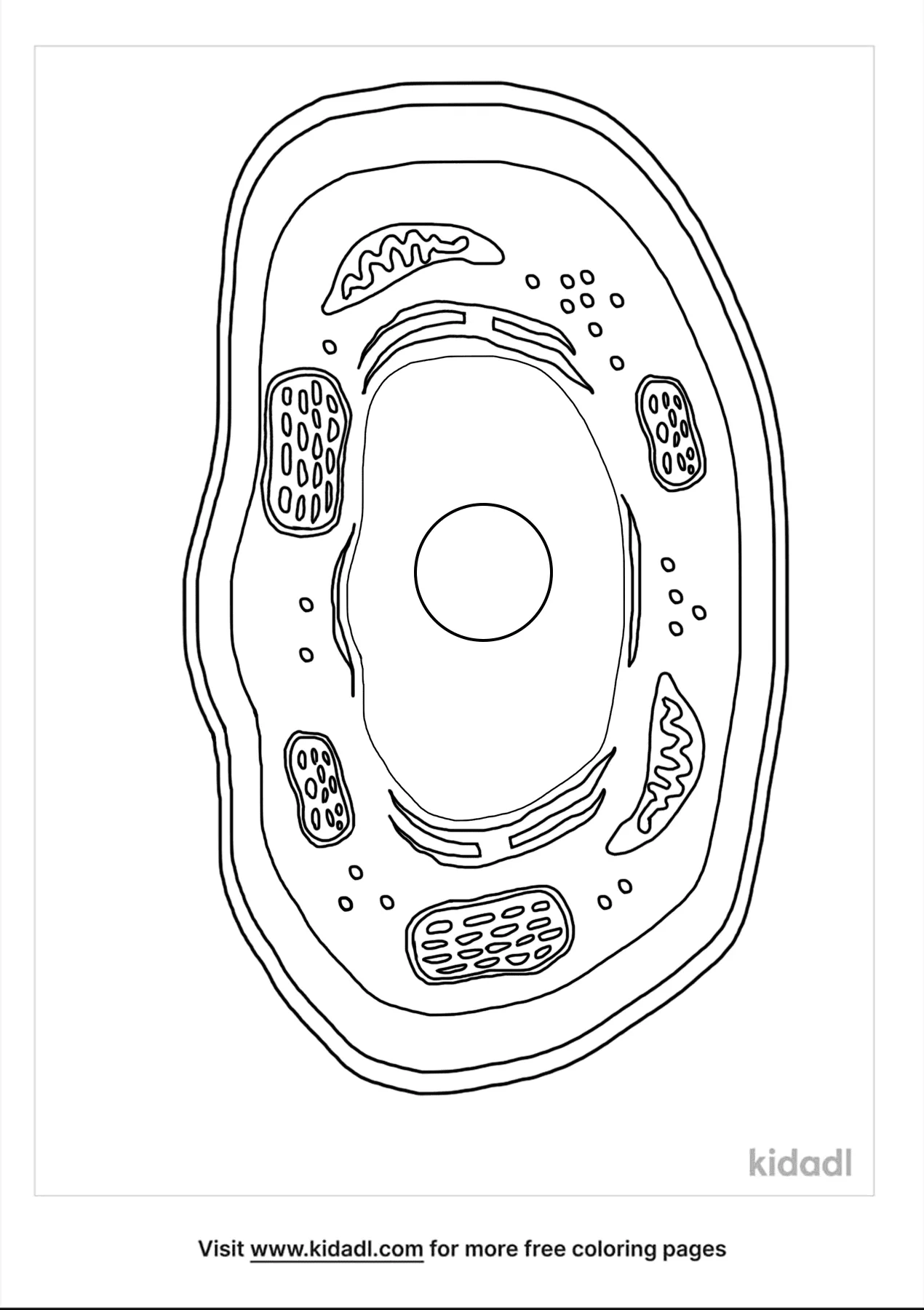 Plant Cell Coloring Pages  Free Plants Coloring Pages  Kidadl Throughout Plant Cell Coloring Worksheet