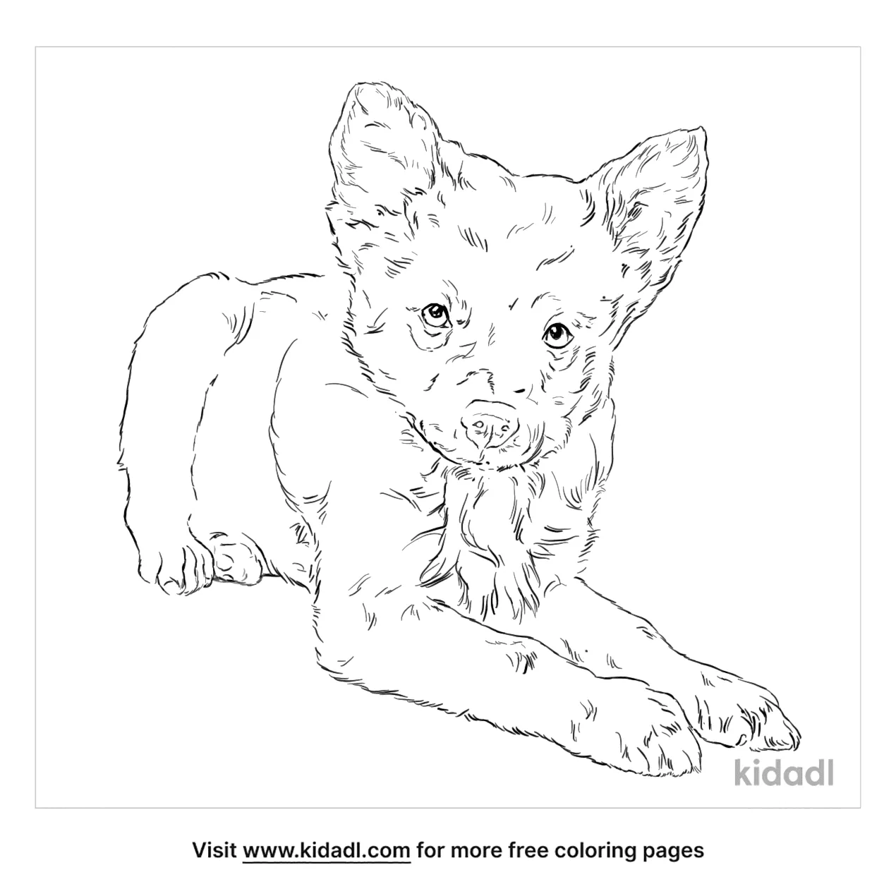 christmas pomeranian puppies coloring pages