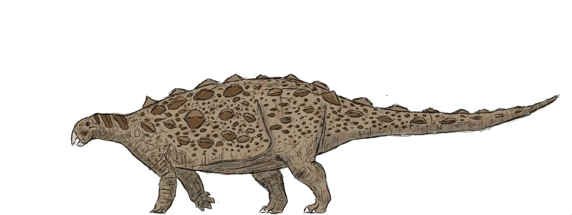 Gobisaurus domoculus was a primitive herbivore ankylosaurid ankylosaur