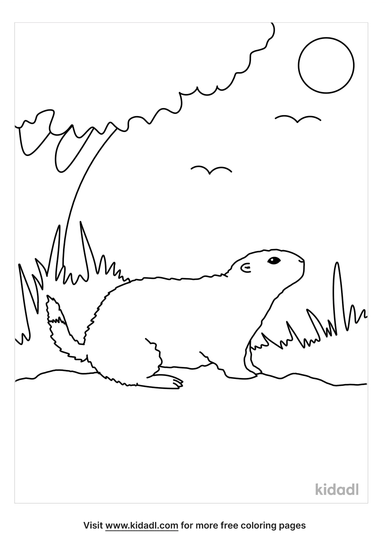 Kid Arctic Coloring Page Free Animals Coloring Page Kidadl   gn ...