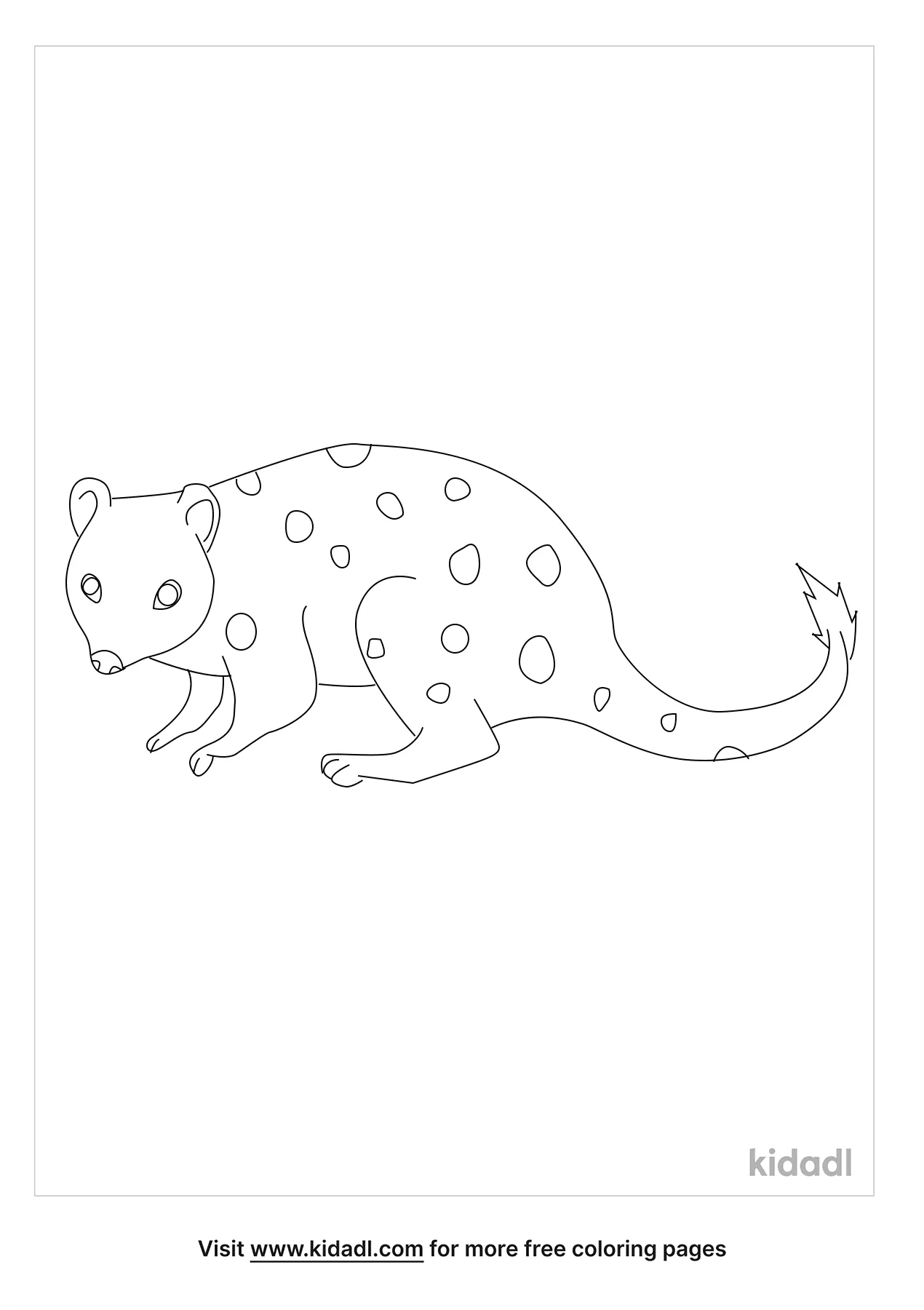 Free Quoll Coloring Page | Coloring Page Printables | Kidadl