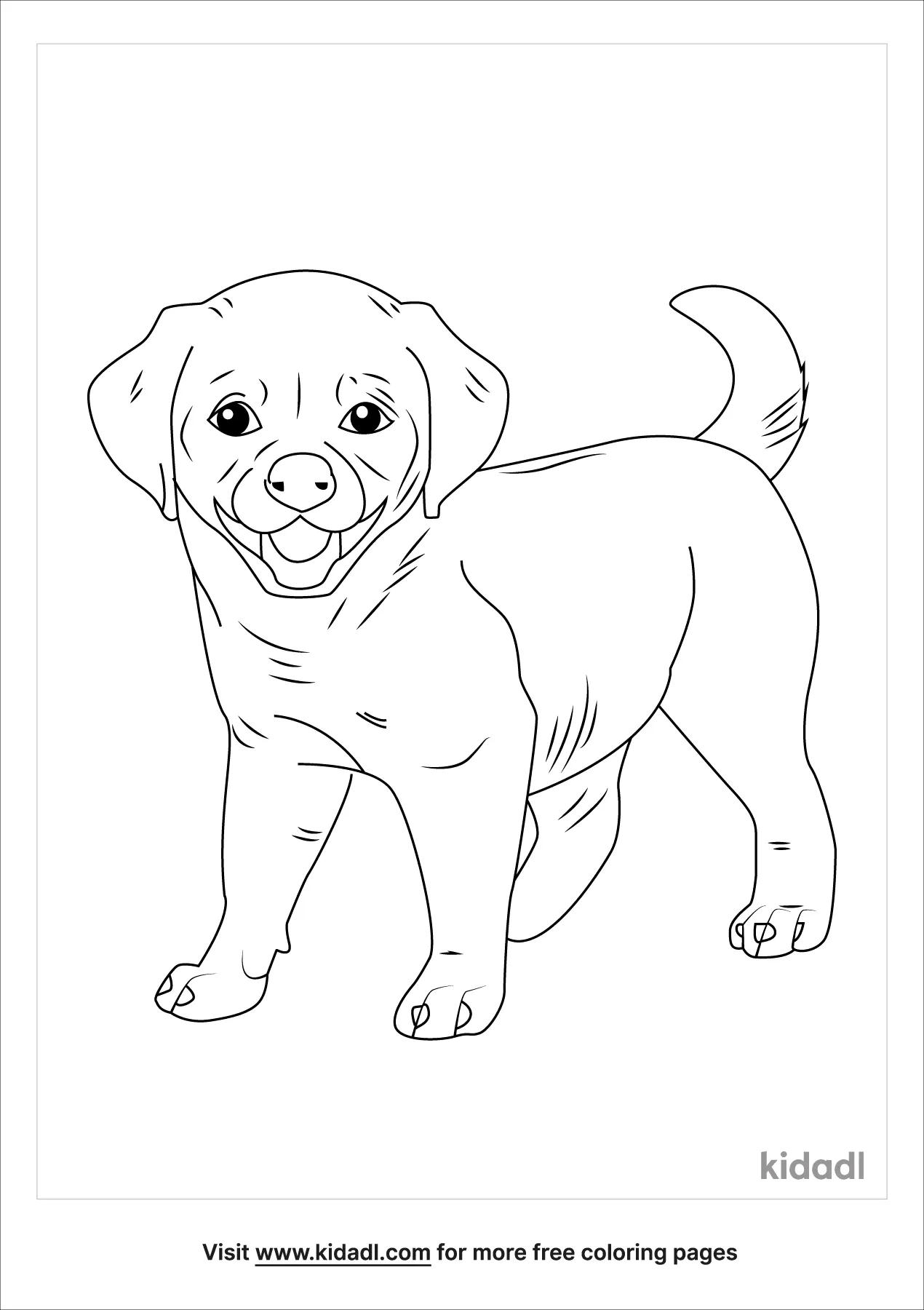 Akita Inu Coloring Page   Free Dogs Coloring Page   Kidadl