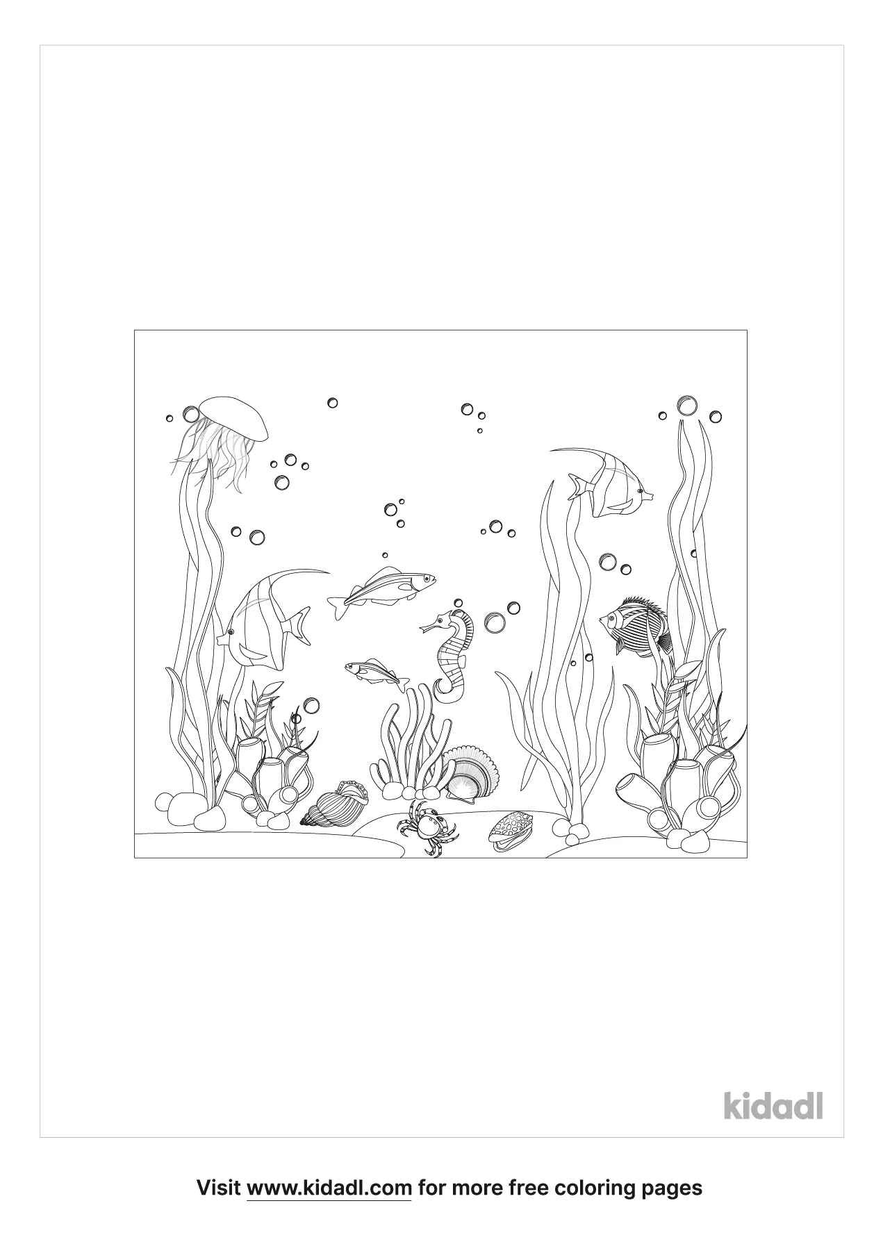 Realistic Coral Reef Coloring Page