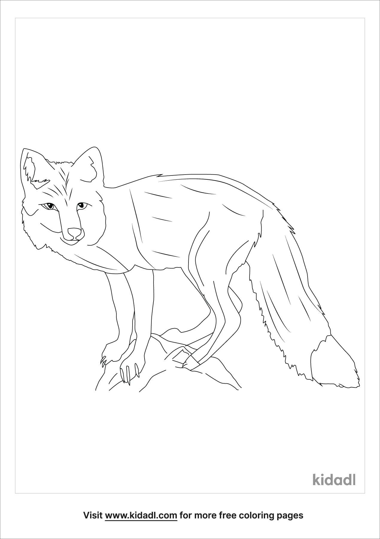 realistic fox coloring pages