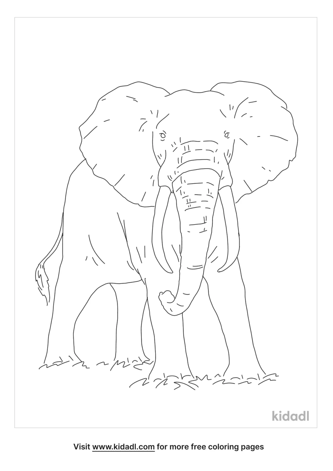 Free Realistic Jungle Animal Coloring Page | Coloring Page Printables |  Kidadl