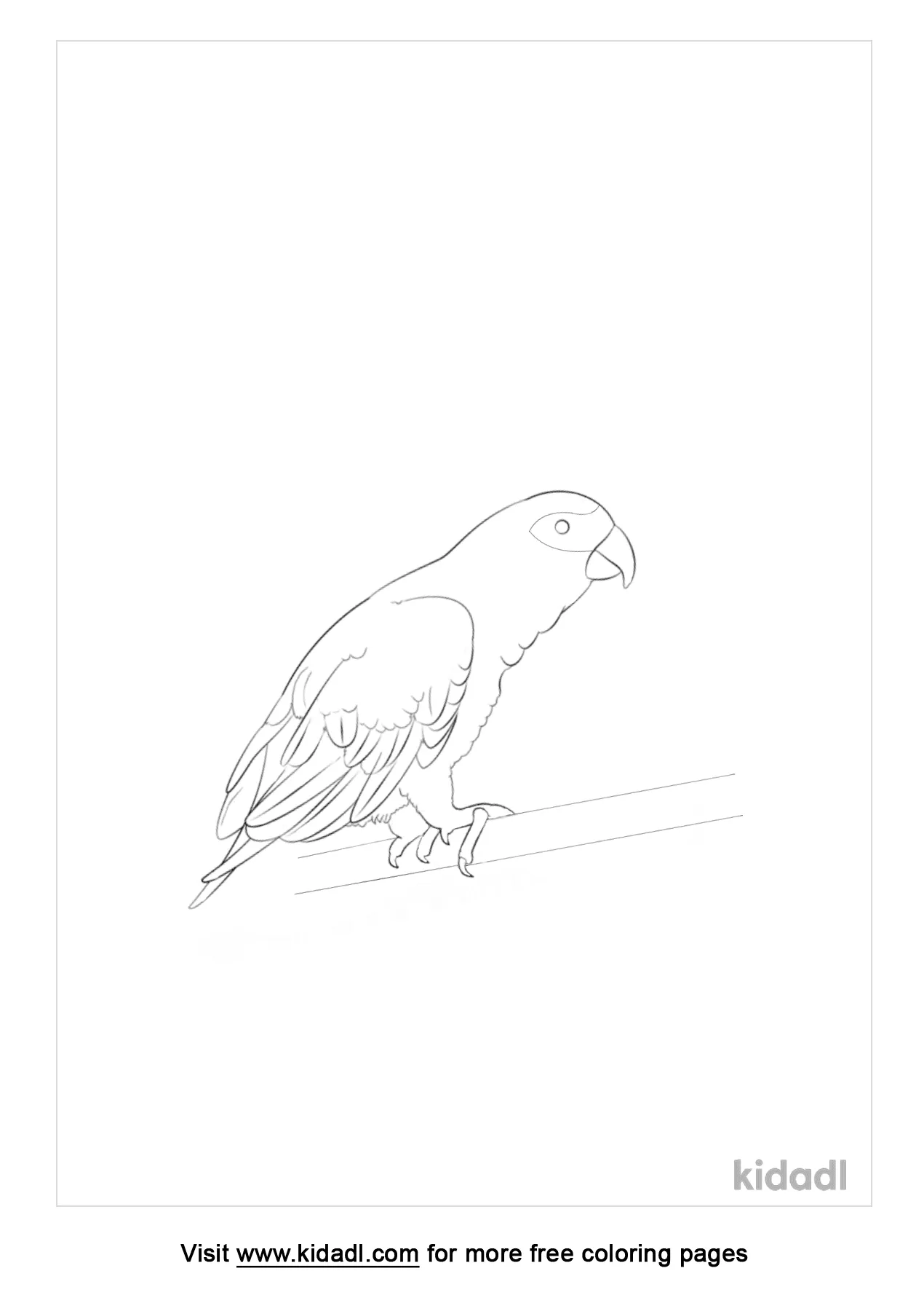 realistic parrot coloring page