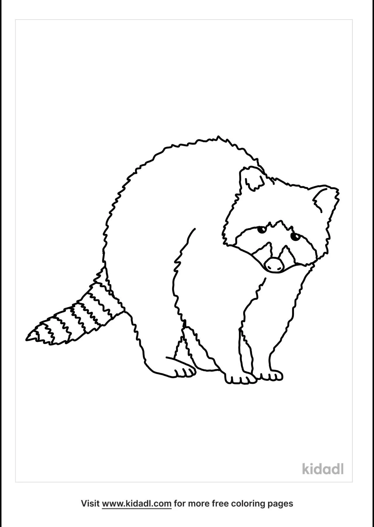 Free Realistic Raccoon Coloring Page Coloring Page Printables Kidadl