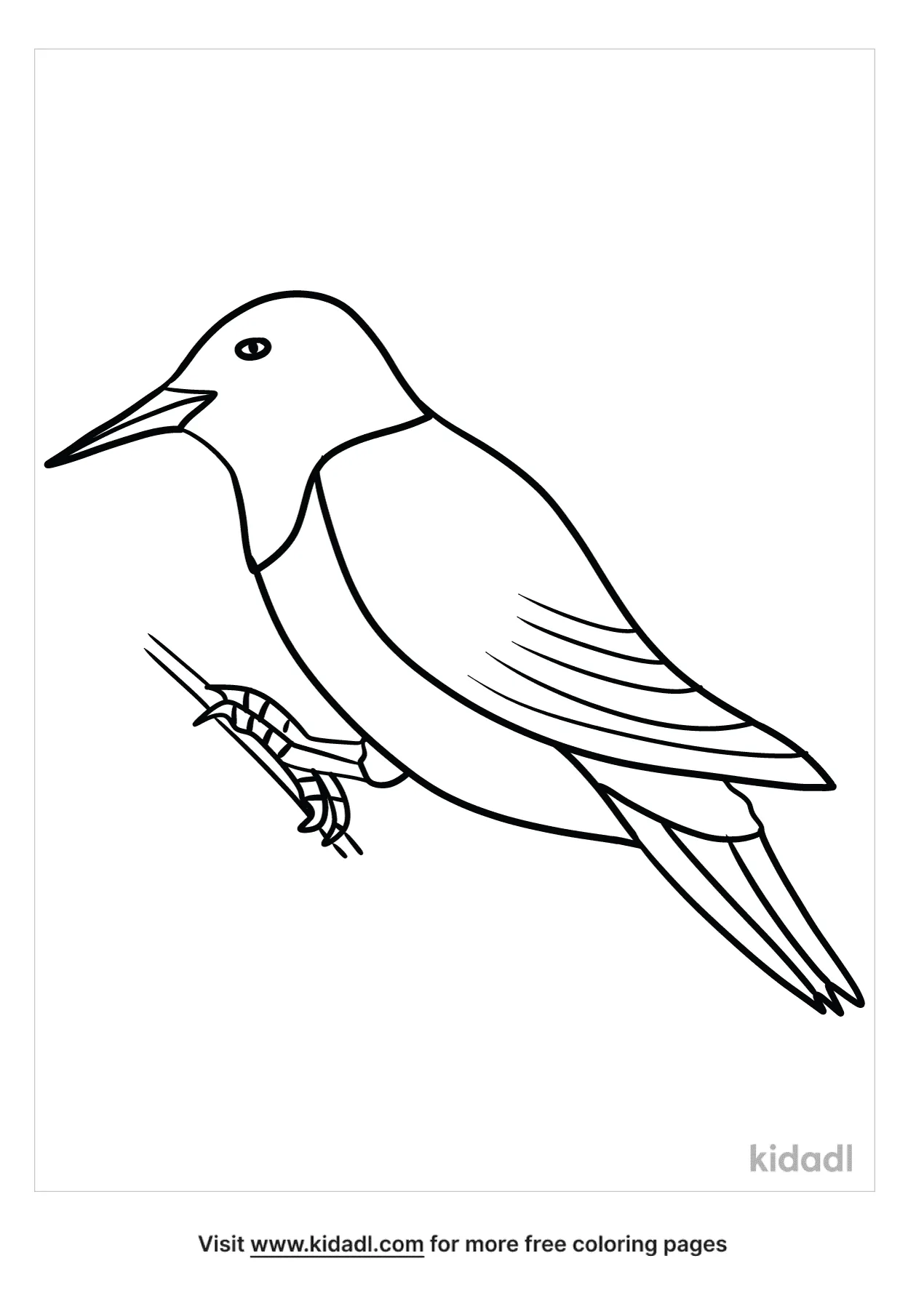 Red Headed Woodpecker Coloring Page