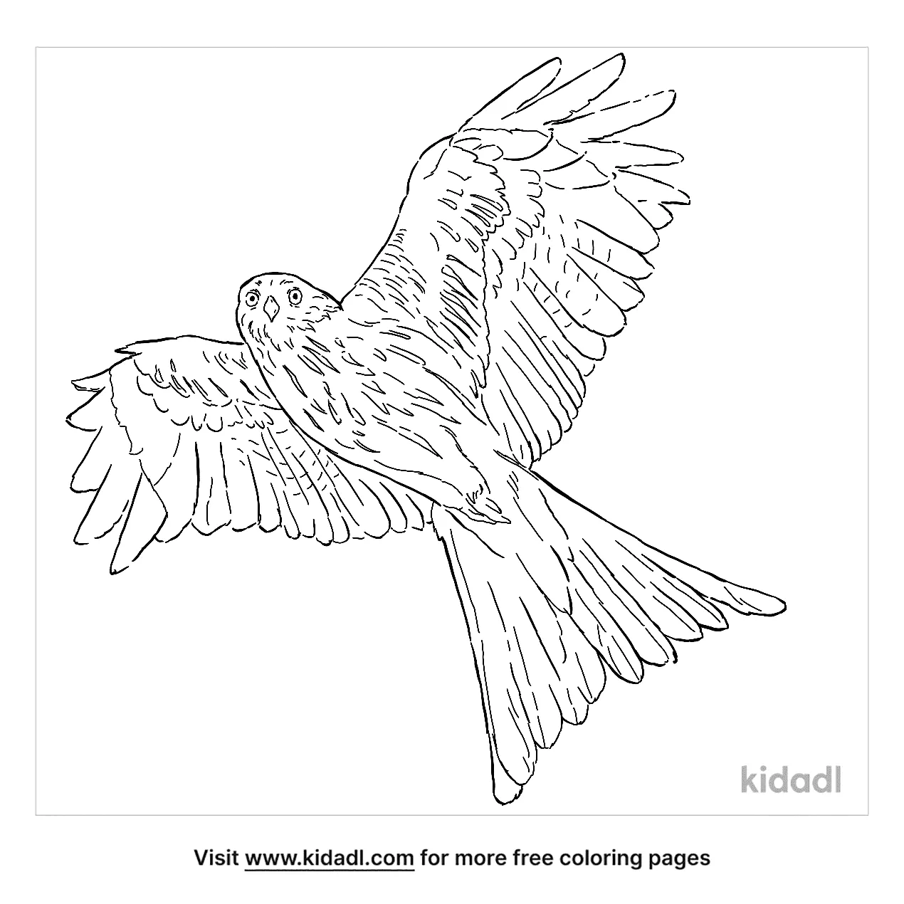 printable coloring pages kites