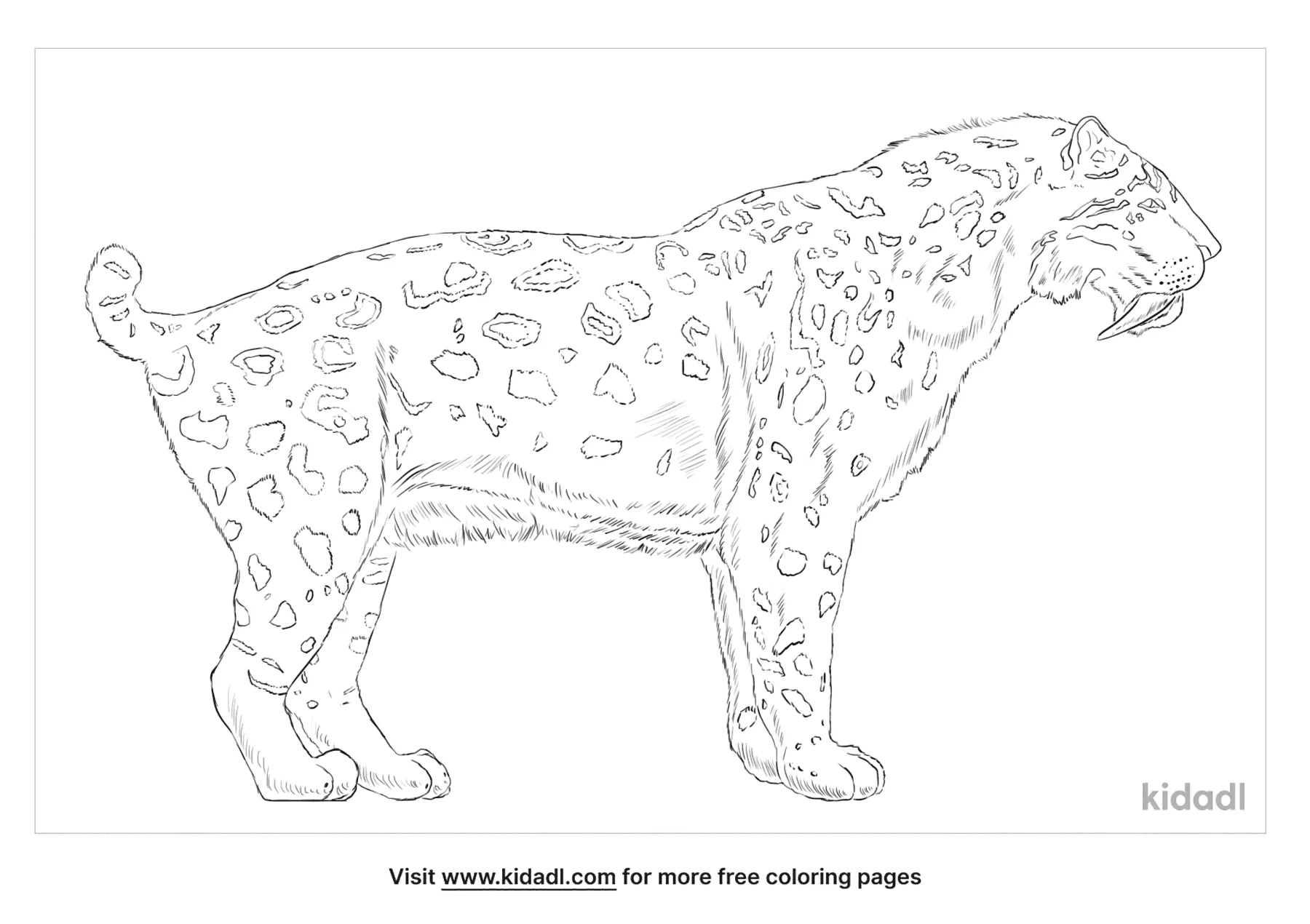 saber tooth tigers coloring pages