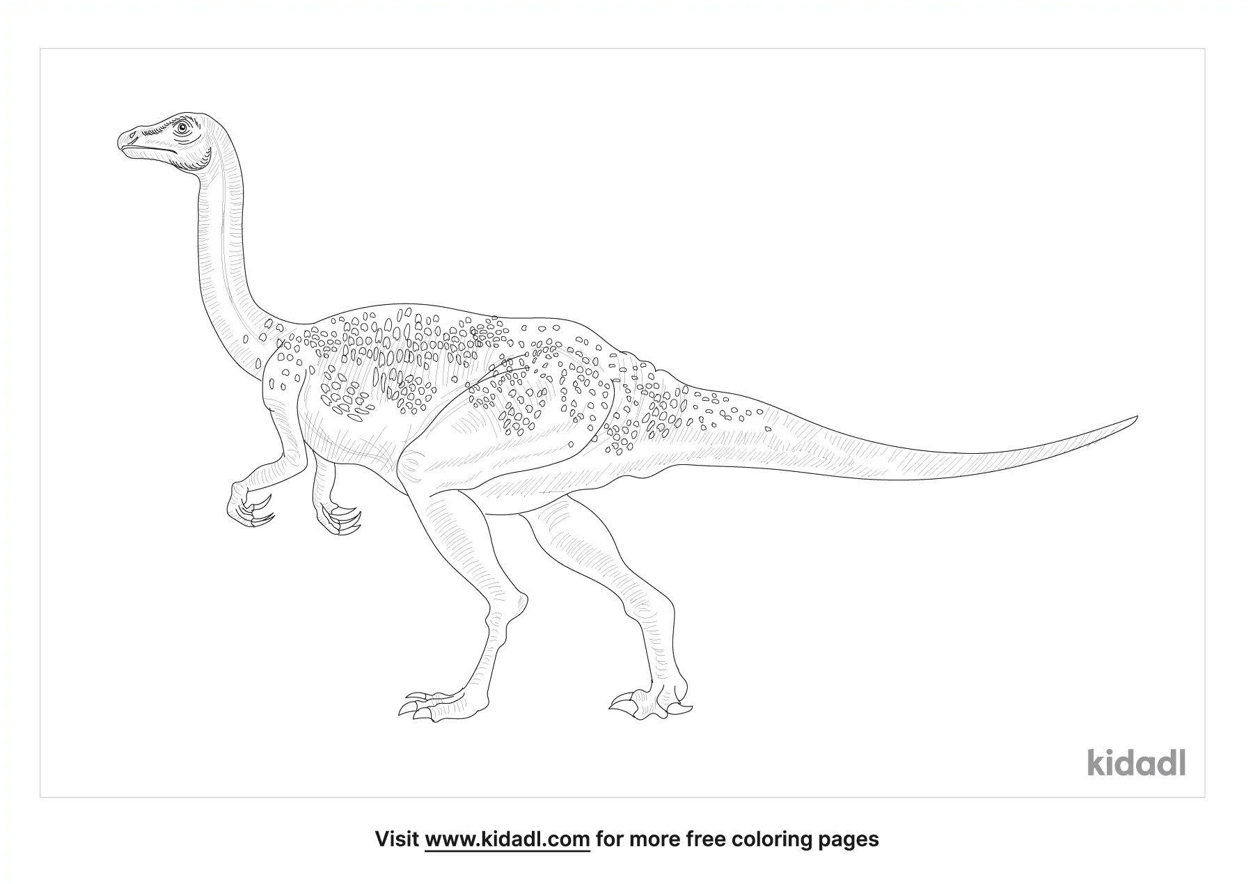 Segnosaurus Coloring Page
