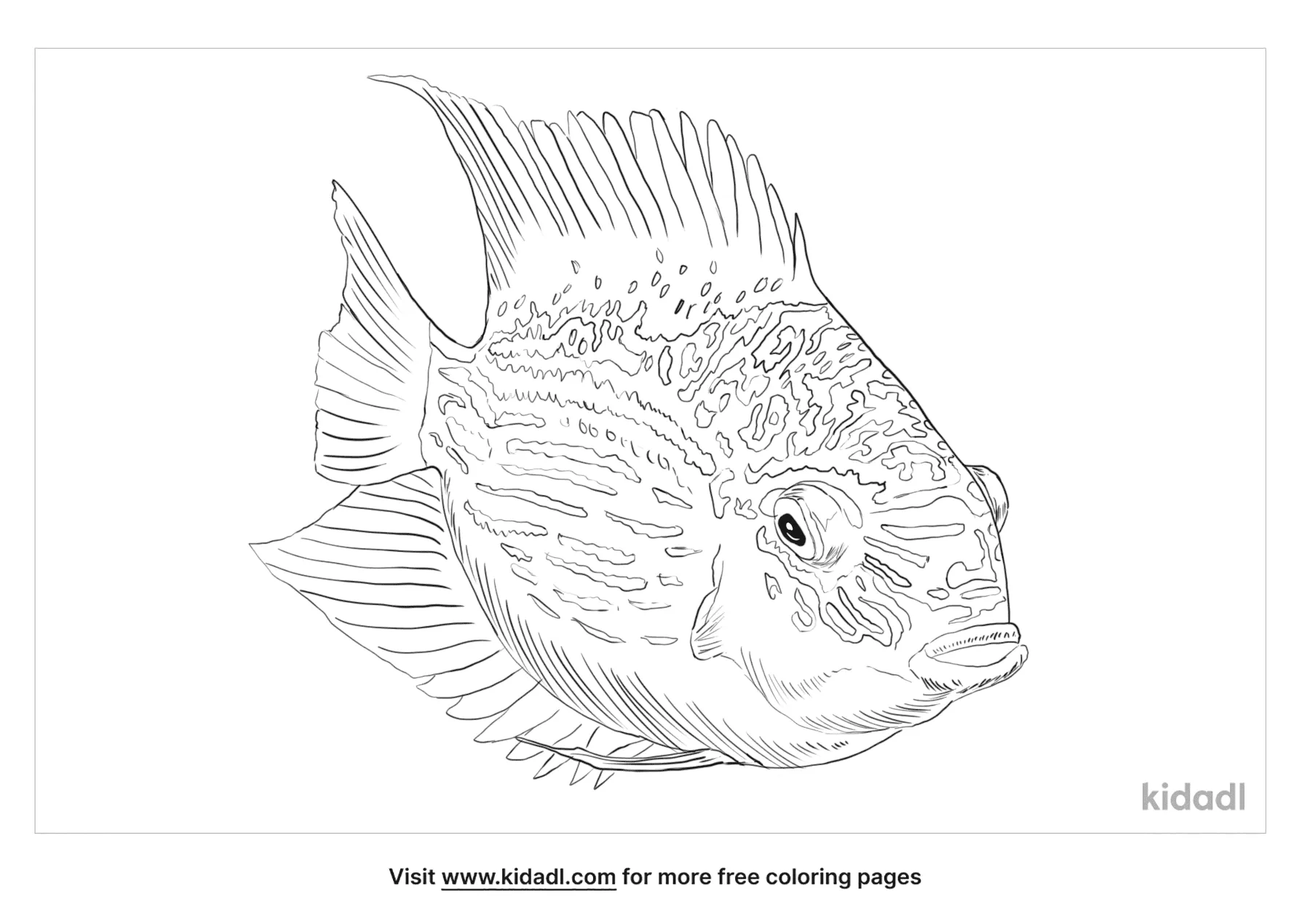 Severum Coloring Page