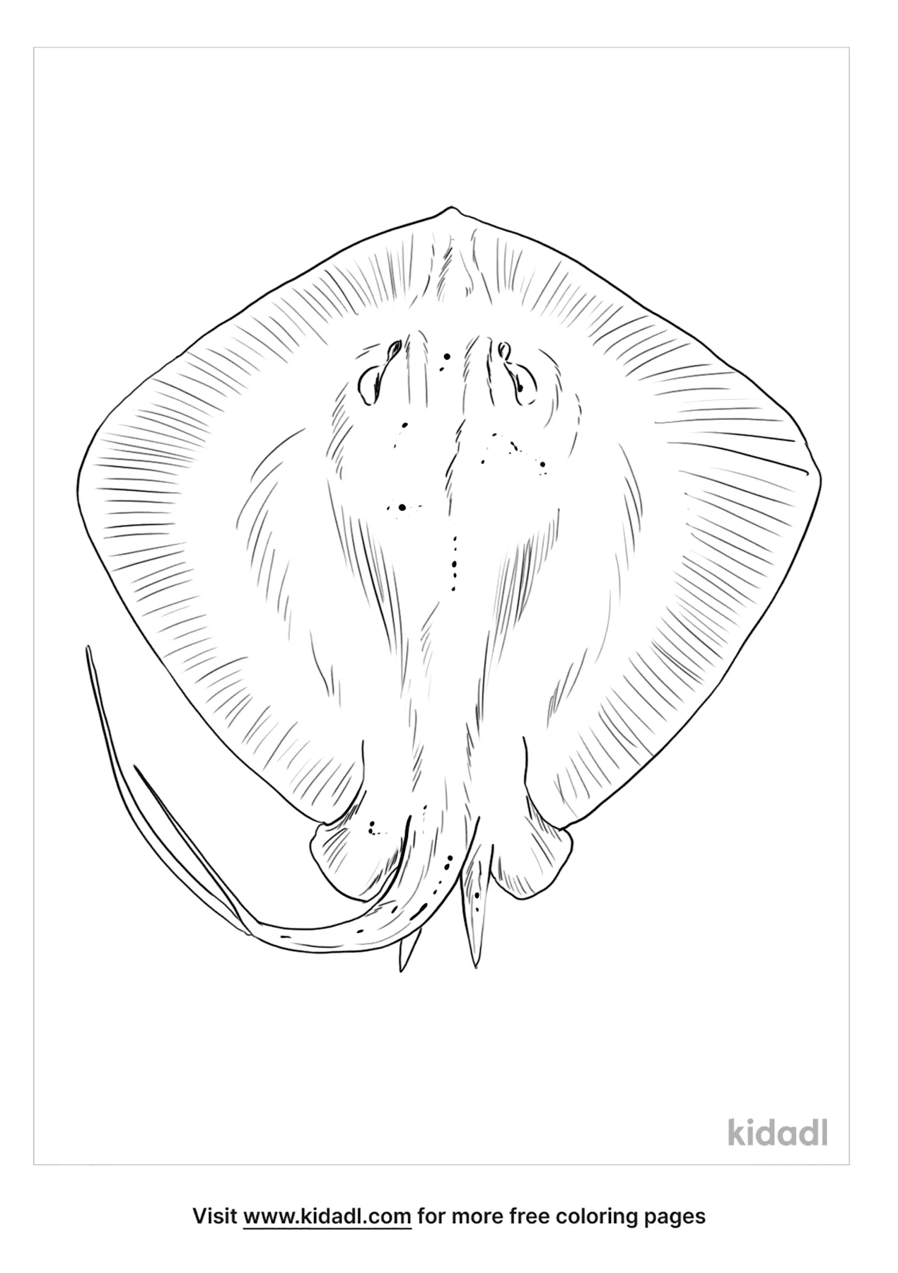 sting ray coloring page