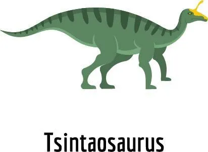 One of the most famous Tsintaosaurus facts is they are known as the unicorn dinosaur.