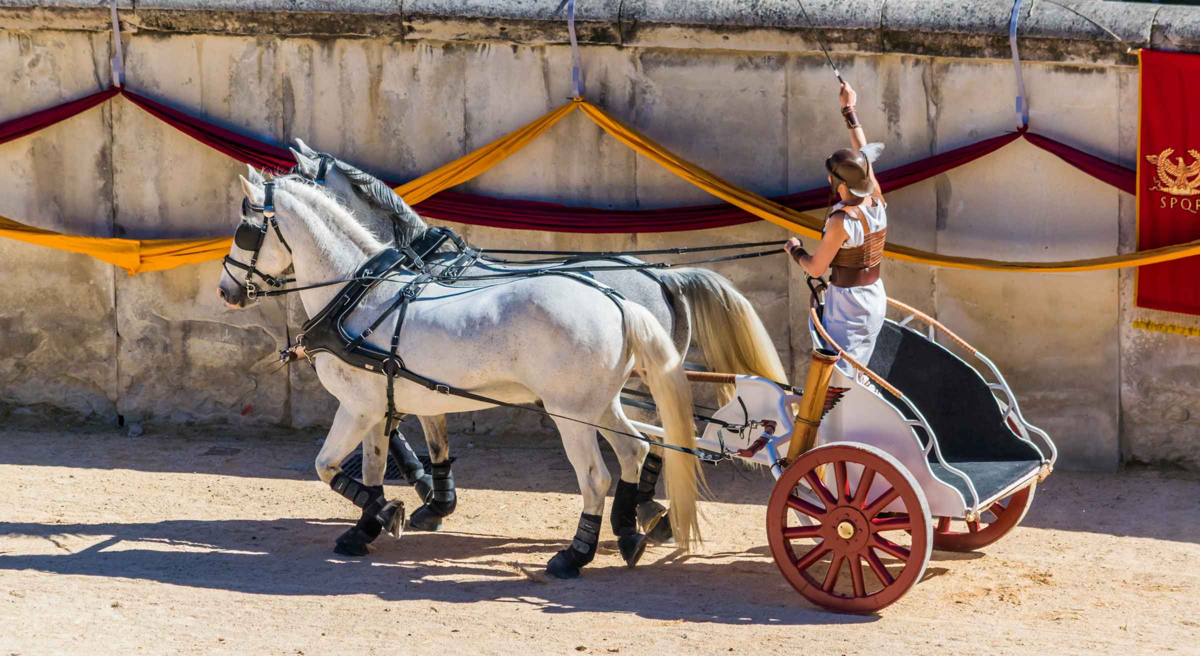 Reconstruction, in arenas, of a Roman chariot race