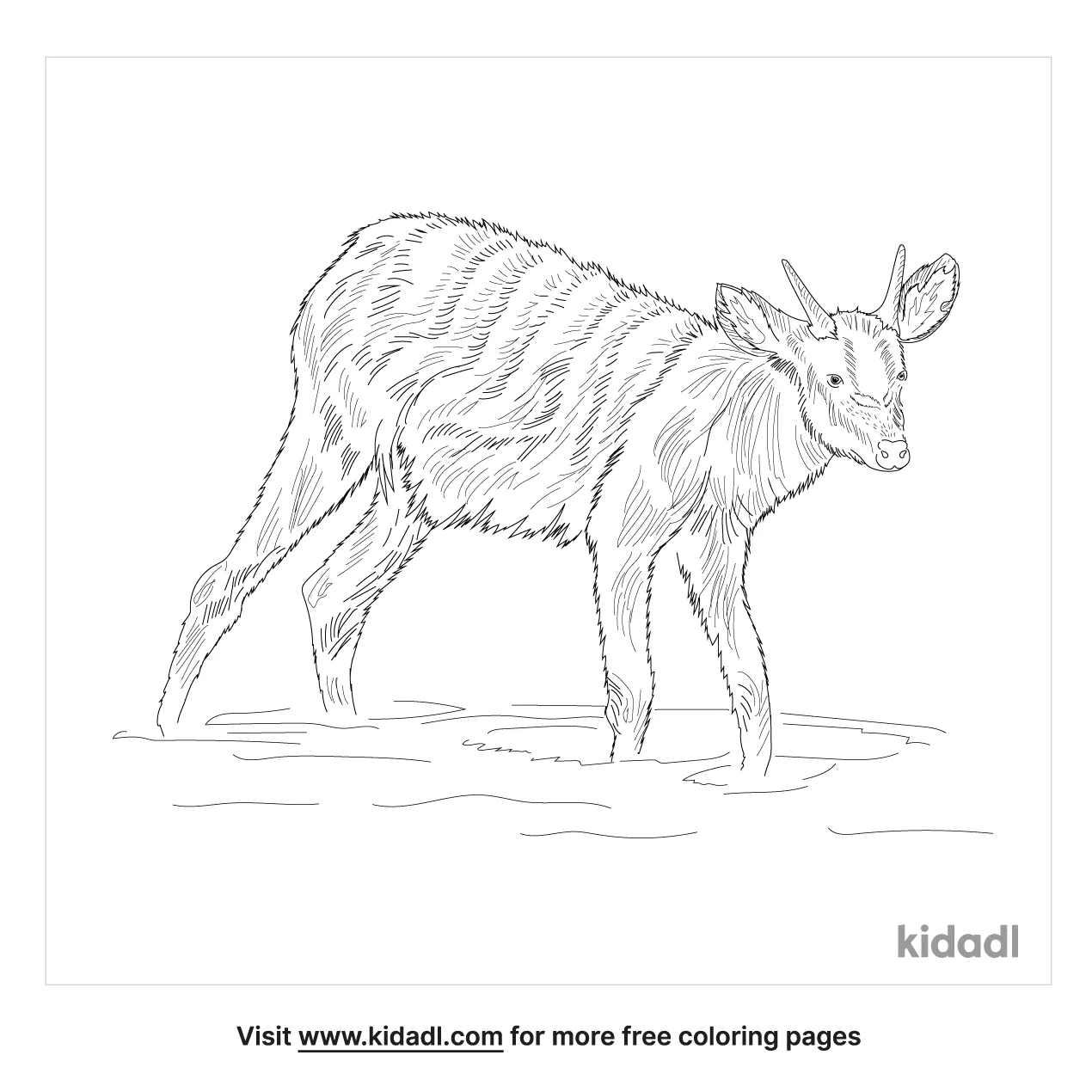 nigerian animals coloring pages