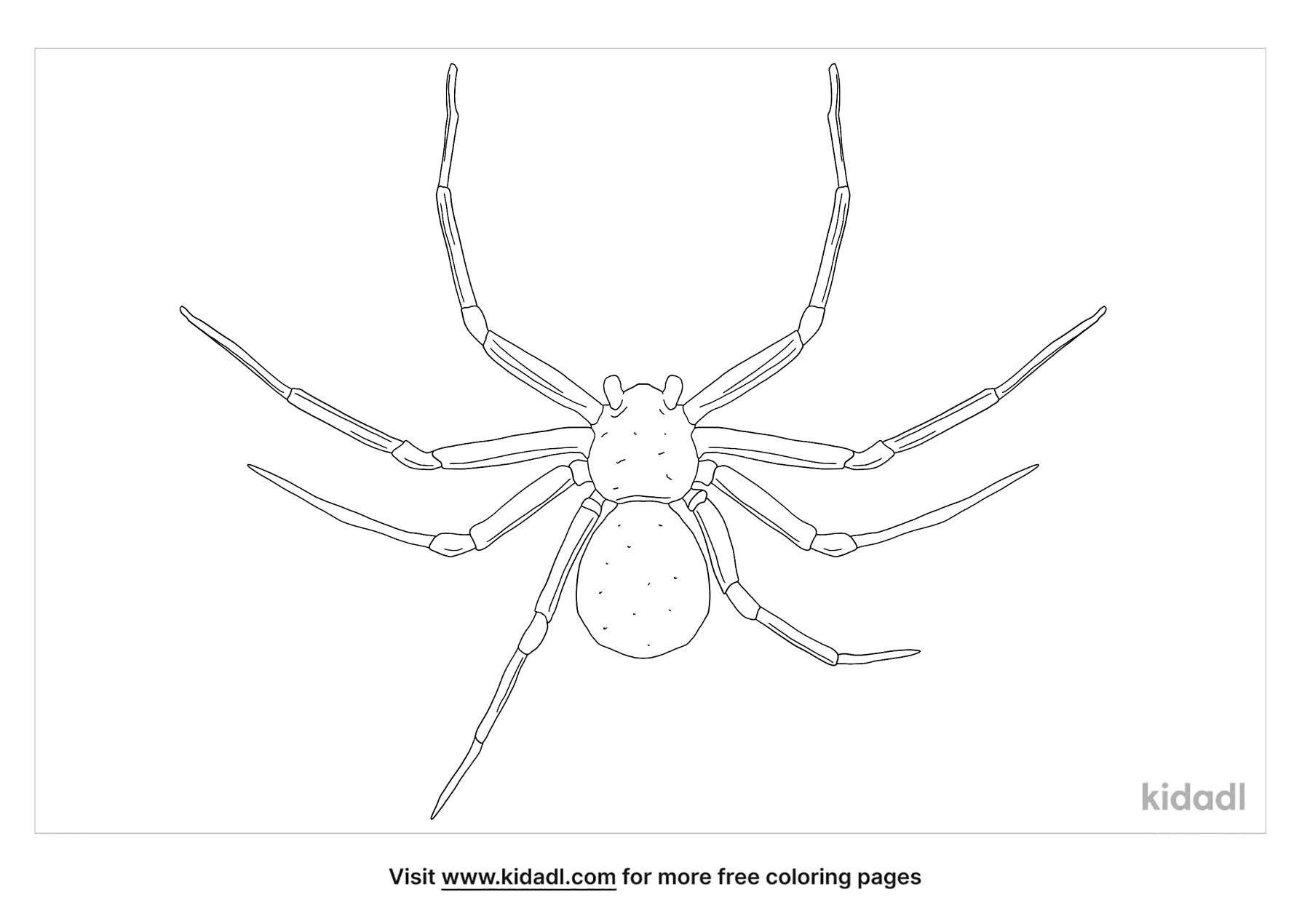 Six Eyed Sand Spider Coloring Page