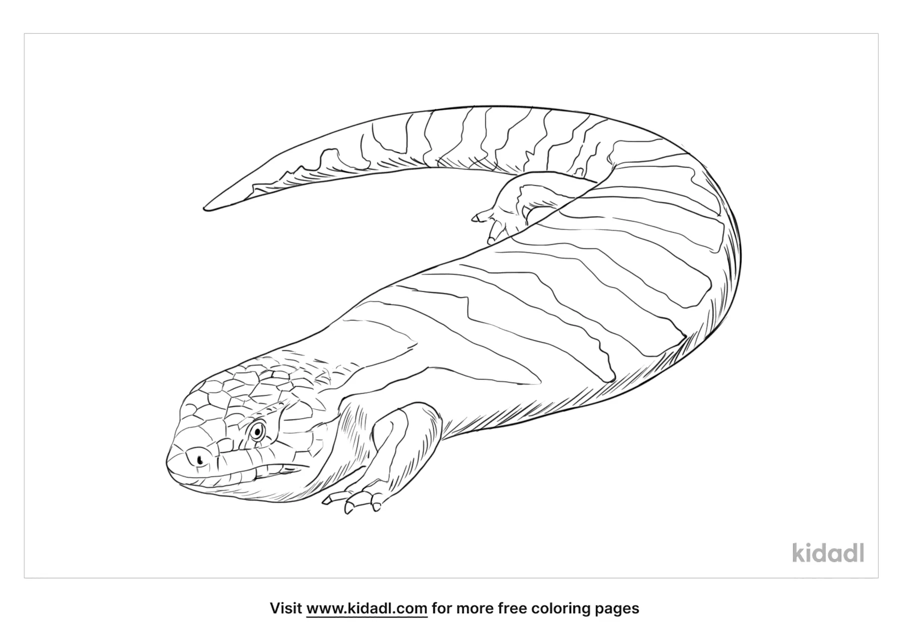 coloring pages skinks