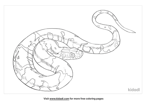 Water Snake Coloring Page