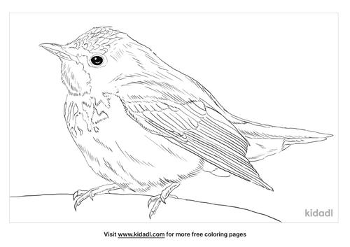 Canada Warbler Coloring Page | Free Birds Coloring Page | Kidadl
