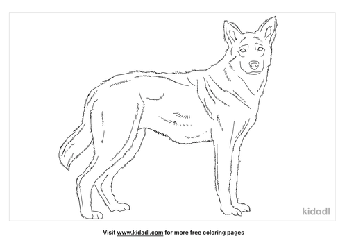Saarloos Wolfdog Coloring Page | Free Dogs Coloring Page | Kidadl