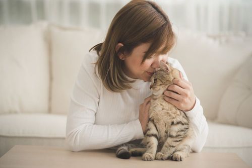 A woman is petting her adorable white and black striped cat