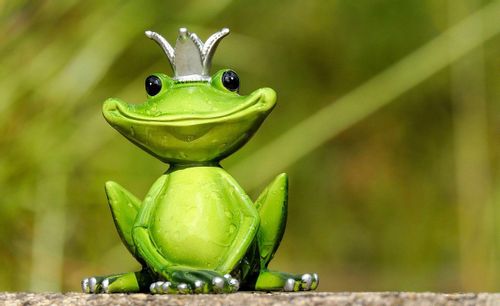 A cute funny frog wearing silver crown