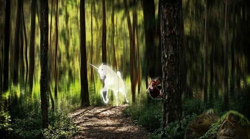 A white unicorn in the dense forest